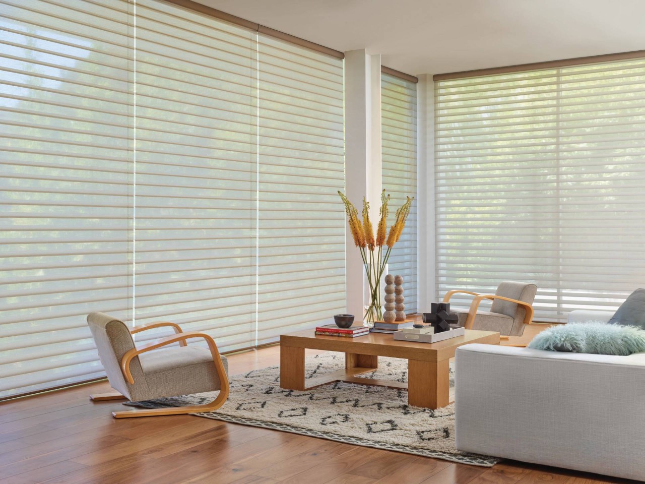 Hunter Douglas PowerView® Automation near Norfolk, Nebraska (NE)
